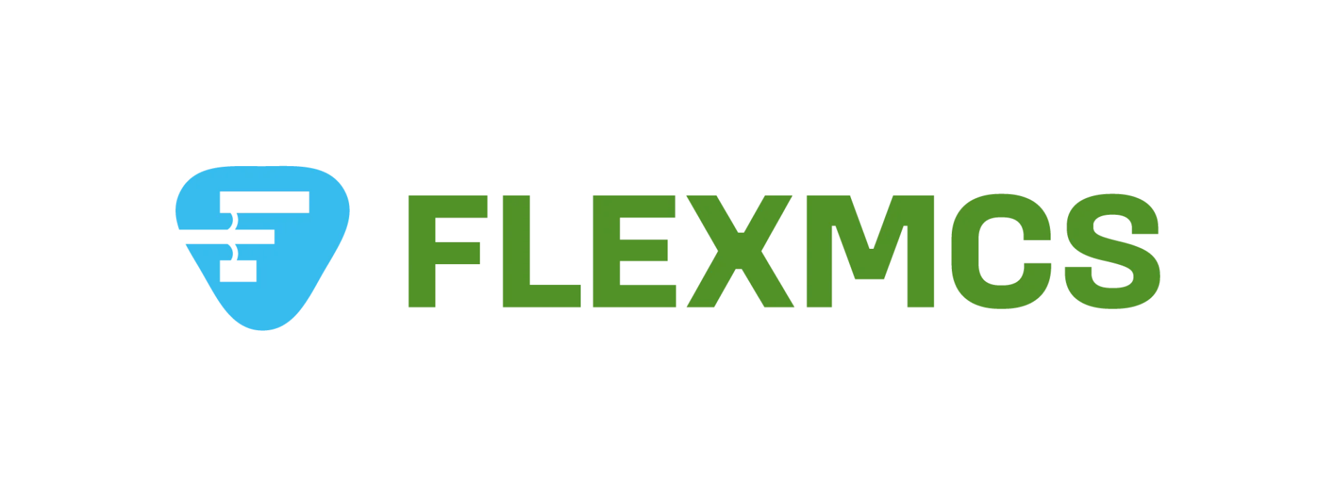 logo flexmcs